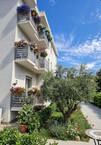 Residence degli Ulivi