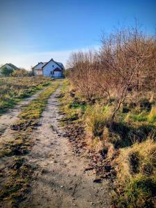 Apartament Sosna - 7 osób, 2 łazienki, Ogród, Grzybowo