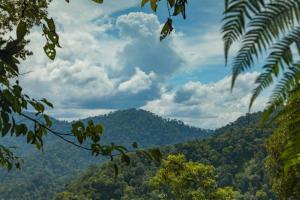 Coorg Misty Mountains Stay