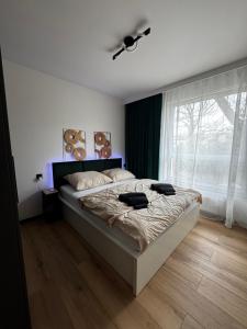 Apartament Zdrowie