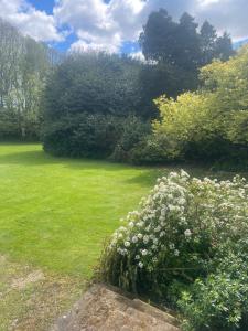 Brightling Park