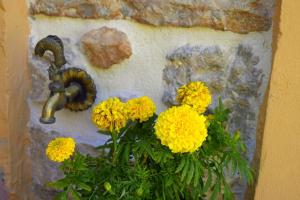 Tilemachos Traditional House Ithaka Greece