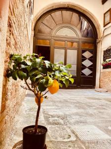 Venice Palace Luxury Suites