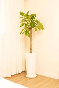 Banghwa Space 5 min to Banghwa Stn, Near Gimpo Airport, Magok & COEX