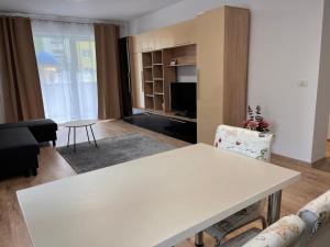 Comfortable apartment in Coresi area
