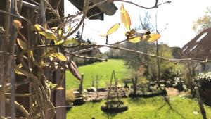 Erholung und Wellness
