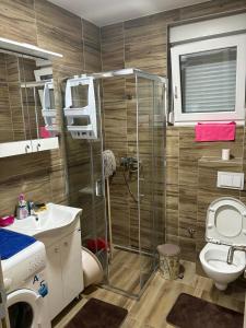 Apartman Davidovic