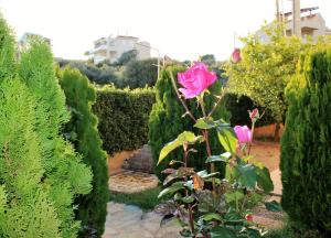 Helens Sounio Apartments