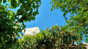Villa Frantina img42