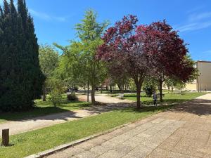 Studio 25m2 à deux pas des thermes