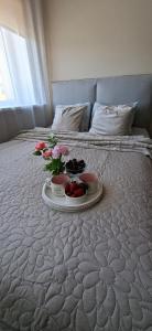 Laine Apartment