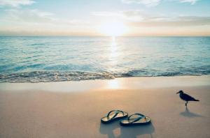 Sofiamarholidays casa Marachique