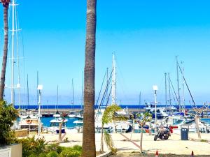Latchi Marina