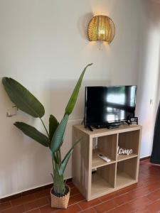 Apartamento Oura - Albufeira