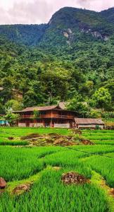Mắn Mẩy homestay