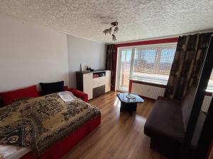 Cozy 9th floor studio with balcony and free parking