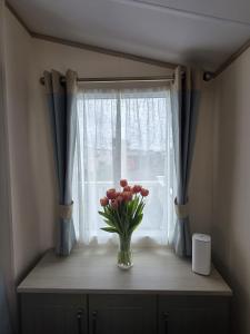 8 Berth Caravan - Blue Dolphin - Filey