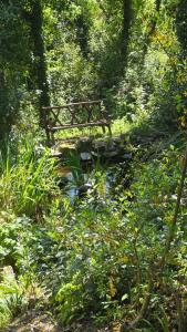 Il Giardorto
