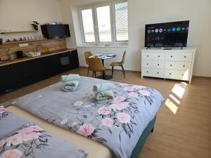 Apartmán KVETINKA v centre Žiliny s KAVIARŇOU