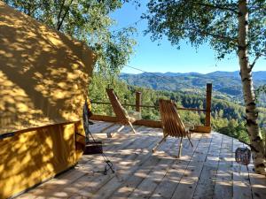 Bell-tent op vlonder midden in de natuur
