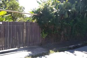 Paraty Casa a 1km do Centro Histórico. Petfriendly