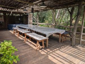 Cabanon cosy au coeur des vignes