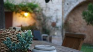 La Cantina del Castello
