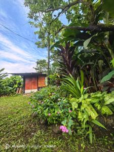 finca la esmeralda
