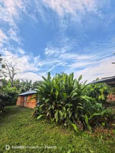 finca la esmeralda
