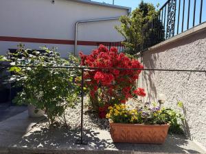 Ca dal Bagatt Losone Campagna