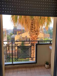 Immobiliare La Rosetana - Residenza La torta 1