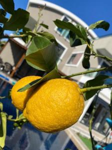 Detached and luxury villa in kadriye