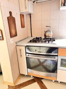 Timchenko 31