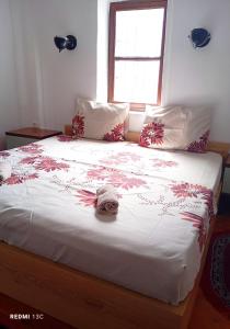 Rise And Shine Rooms Korca