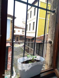 Rise And Shine Rooms Korca