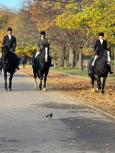 Amandas HydePark