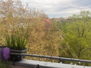 Stilvolle und gut ausgestattete 2-Zimmer Wohnung