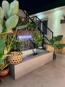 Coco Manila Hostel
