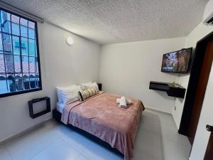 Modern apartment with electric backrest, El Campito