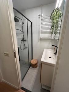 Tiny House Delft