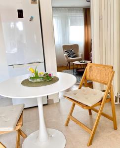 NookLite Studio near Belgrade Arena