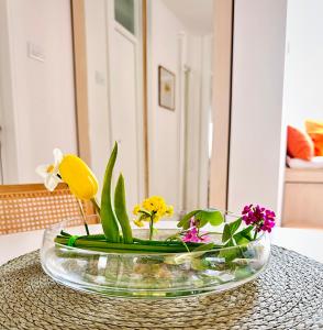 NookLite Studio near Belgrade Arena