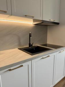 Stylish Apartment near Sibiu with Parking