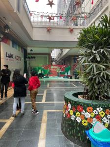 Luxury Apartment Gurugram