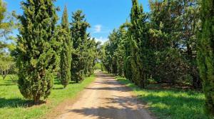 Casa de campo privada con parque y hogar