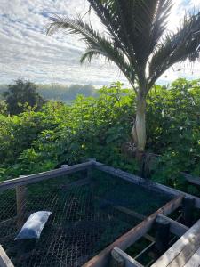 Sitio vista das estrelas