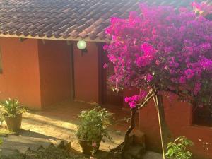 Valle Verde Lodge - Vista