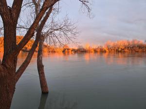Hoota Cottage Bojana River