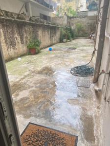 Quiet Courtyard