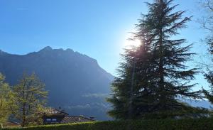 CASA BEPPE Relax e Natura